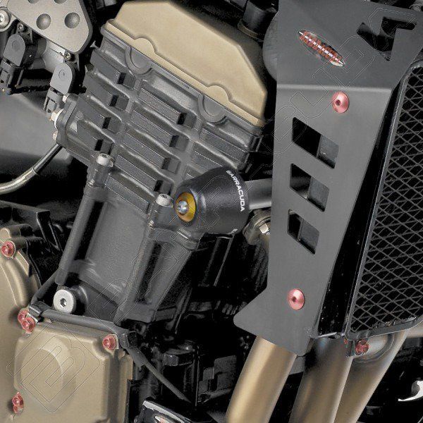 Shields and Guards Baracuda Engine guards Kawasaki Z750 03/06 -