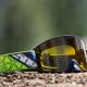 Ochelari Enduro Kingpin Fuzion Hi-Vis Gary Tint Lens Yellow 23