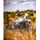 Plastice Schimb Handguard Storm KTM/BMW/HQV/TRIUMPH STM-003-00-BK