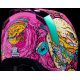 Casca Moto Full-Face/Integrala Airflite MIPS Snack Attack Pink 25
