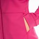 Hanorac Aster Park Fuchsia Red 25