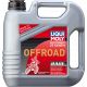Ulei Motor Fully Synthetic 2T 4L 3064