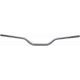 Ghidon Fatbar 821 Titanium