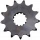 Pinion Fata Otel 520 13t 452--520-13p