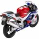 Macheta Honda CBR 900 RR FIREBLADE 2000-2001 1:12