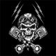 Bandana Flydanna Cotton Biker Skull Z712